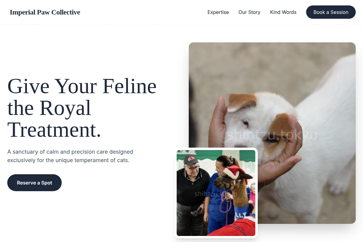 Feline Animal Care