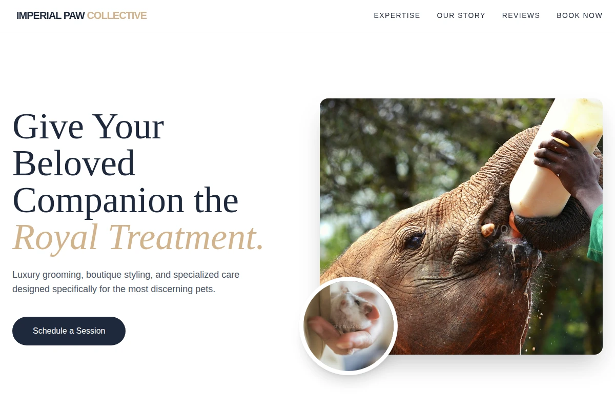 Silk Animal Care