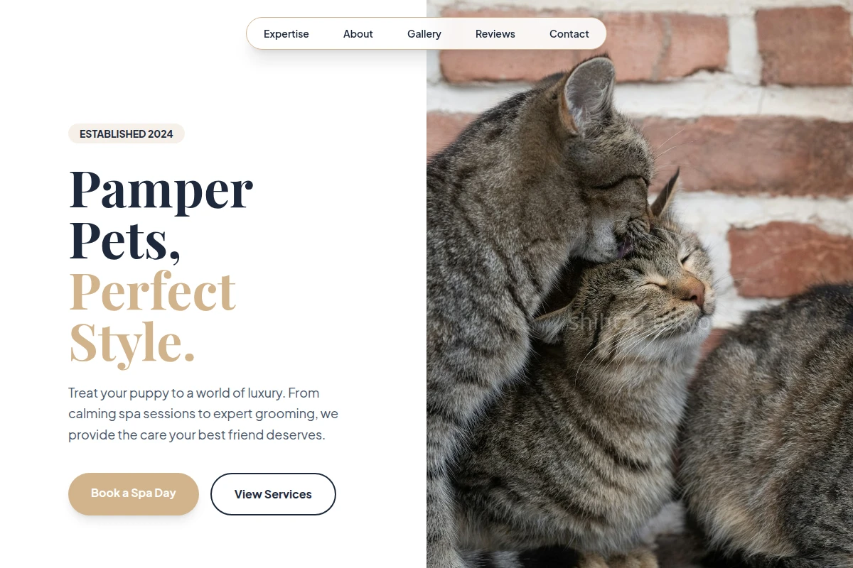 Puppy Animal Care