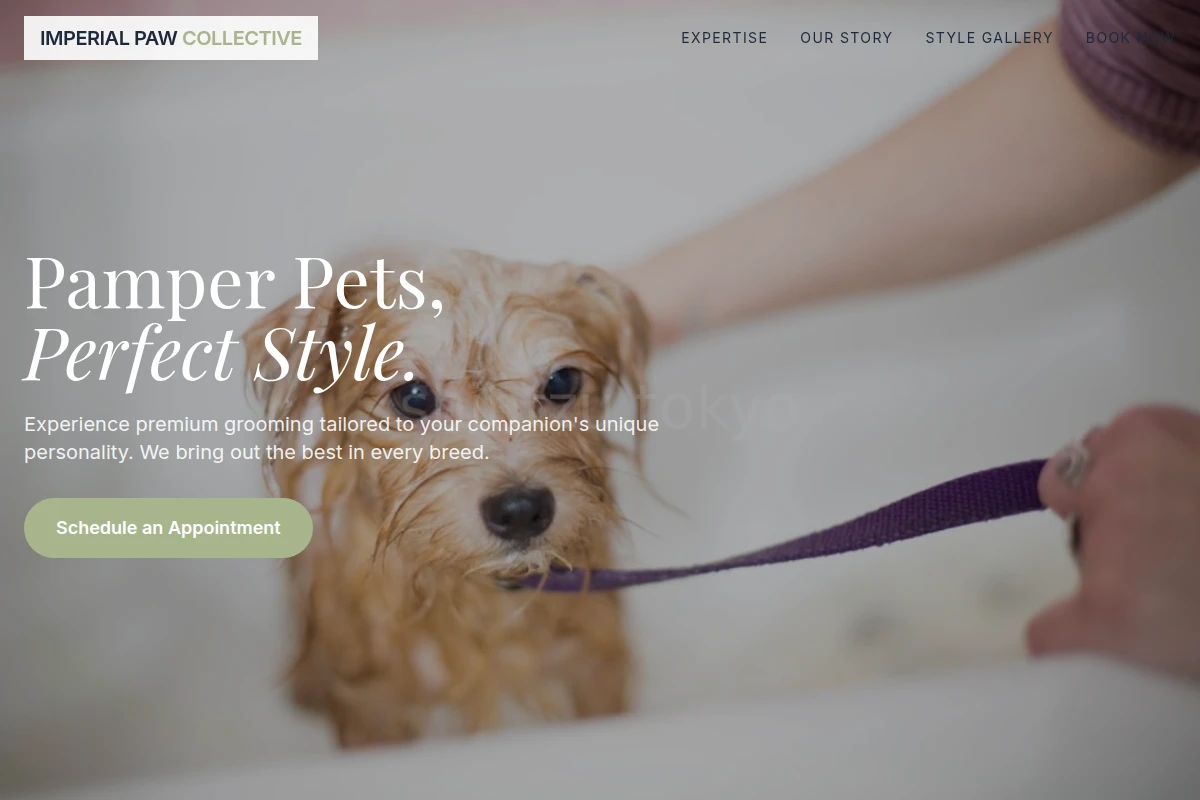 PetChic Pet Grooming