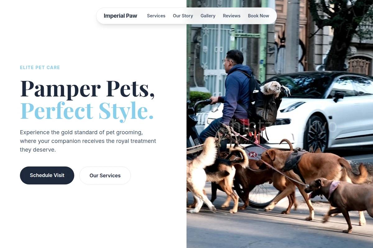 pet-services