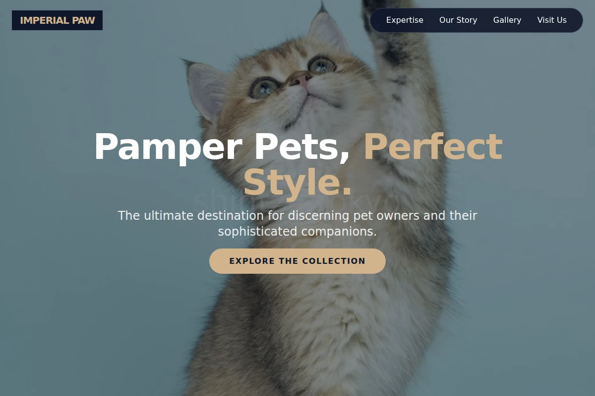 PetDesign Pet Shop