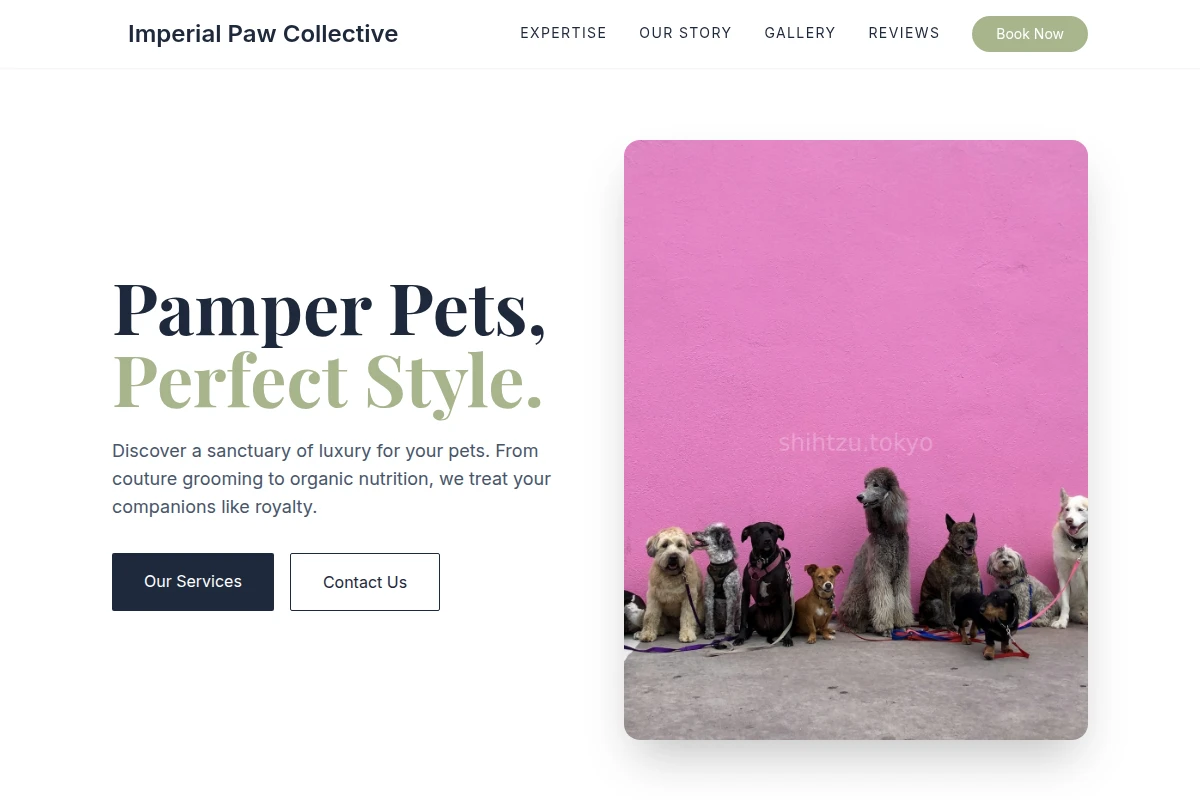 PetTrend Pet Shop